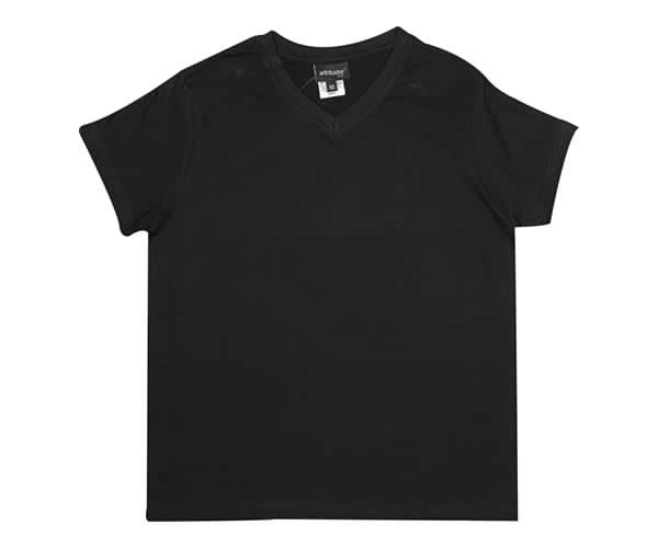 VLS01